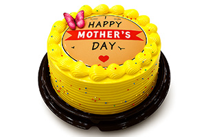Seasonal Cakes
